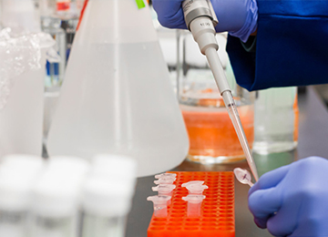 美格踏入投资、咨询